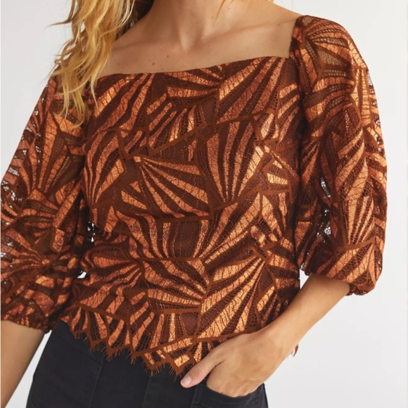 ANTHROPOLOGIE Shine Lace Blouse - Eva Franco - Picture 1 of 7